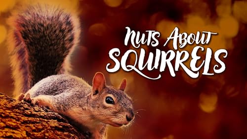 Nuts about Squirrels