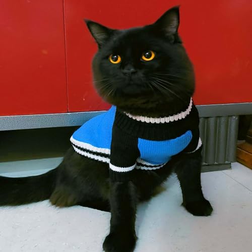 Image of Lulala Pet Puppy Clothes to Keep Warm in Autumn and Winter, Knitted Sweater, Teddy Poodle Clothes, Small Dogs Jacket Suitable for Pets (Blue, 8 Inch)