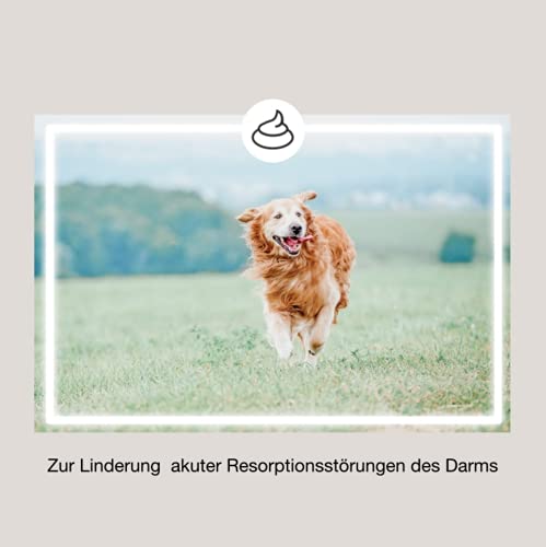 CaniMove Doppelpack enteral akut, 2 x 12 Tabletten zur Gabe bei und nach akuten Durchfällen, für Hunde und Katzen geeignet