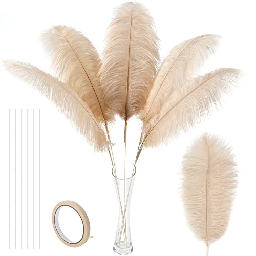 Soarer Champagne Large Ostrich Feathers - 10Pcs Making Kit 34inch Extra Large Ostrich Feathers Long for Tall Vase,Floral Arrangement,Wedding Party Centerpieces and Home Decoration(Champagne)