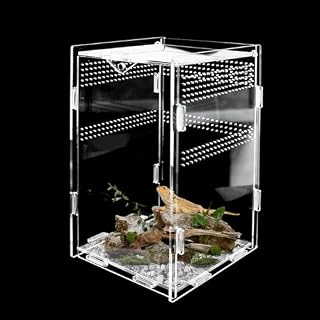 Korechain terrarium acrylique 12 x 12 x 20 cm transparent