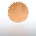 Blank Certificate Seal - Bronze