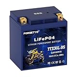 Lithium YTX30L-BS, 850A LiFePO4 Motorcycle Battery, 12V 12AH ATV, UTV, Jet Ski, 4 Wheeler, Snowmobile, Personal Watercraft, Seadoo, Polaris, Tractor,Generator and Riding Lawn Mower Battery