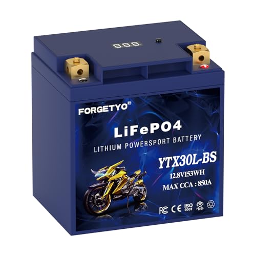 Lithium YTX30L-BS, 850A LiFePO4 Motorcycle Battery, 12V 12AH ATV, UTV, Jet Ski, 4 Wheeler, Snowmobile, Personal Watercraft, Seadoo, Polaris, Tractor,Generator and Riding Lawn Mower Battery