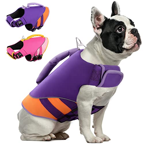 10 Best Dog Life Jacket For French Bulldog