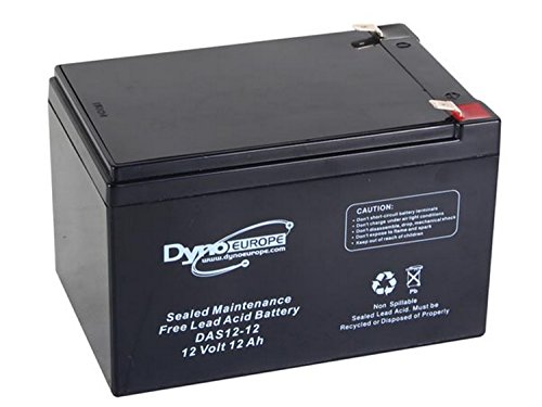 Batterie plomb 12V 12Ah DAS12-12 compacte pour onduleur et alarme