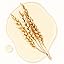 5. Rice Cleansing Oil
