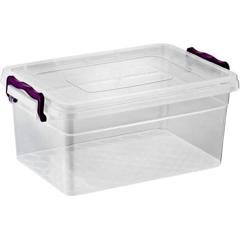 Best House 2 PCS Clear Storage Boxes with Lids Cover