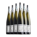 Elosegi Elkano Txakoli Sobre Lías Getariako Txakolina Joven 75 cl Vino blanco (Caja de 6 Botellas de 75 cl)