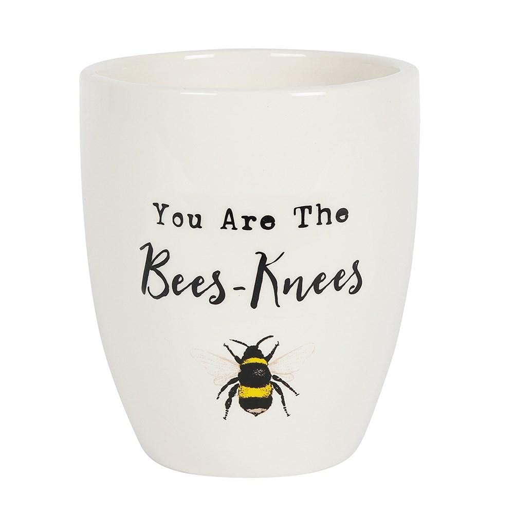 Something Different White Cheerful Bee-Adorned Ceramic Plant Pot - 13Cm X 11Cm (1 Pc.) - Heartwarming Gift With 'You Are The Bees-Knees' Text - Ideal For Teachers Or Special Occasions