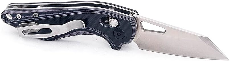 Pocket Folding Knife, 2.3 inch D2 Steel Blade, G10 Handle, Small EDC Knife with Pocket Clip for Left and Right Hand, Great for Everyday Carry Camping Hiking Great Outdoor Gifts for Men Women