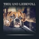 Aesthetic Music Firm