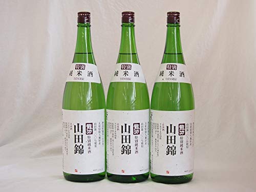 {cX Rc100  ʏĎ(Ɍ) 1800ml×3{