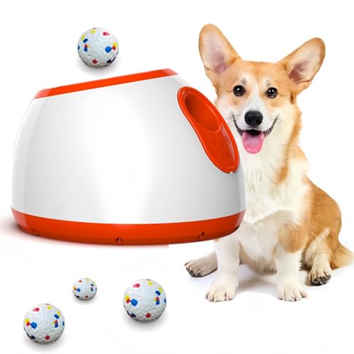 Klivex {[`[ {[ `[̌P̂̃Q[ ^ ^pejX{[@ (IW)