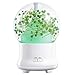 Produktbild QP Aromatherapie Maschine Luftbefeuchter Ätherisches Öl Diffusion Led Nachtlicht Ewige Blumen Möbel Dekoration Bunt 100Ml,Green