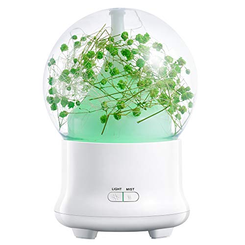 Preisvergleich Produktbild QP Aromatherapie Maschine Luftbefeuchter Ätherisches Öl Diffusion Led Nachtlicht Ewige Blumen Möbel Dekoration Bunt 100Ml,Green