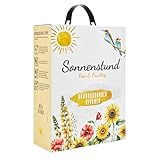 Sonnenstund