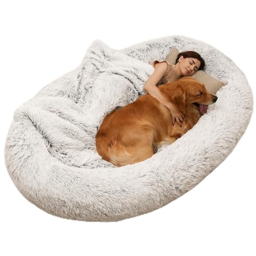 When Can I Bathe My Dog After Giving Birth? (2024) My Pets Guide