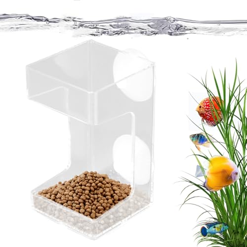 Mimoqk Alimentador para peceras – Plato de alimentación de acuario con ventosa, contenedor de alimentos para peceras, tortugas de camarón, bettas, tetras, agua salada, agua dulce, oficina en casa