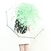 Kung Fu Smith Auto Open Clear Bubble Umbrella for Women and Girls, Green Floral Print Dome Umbrella for Rain, Cherry Blossom