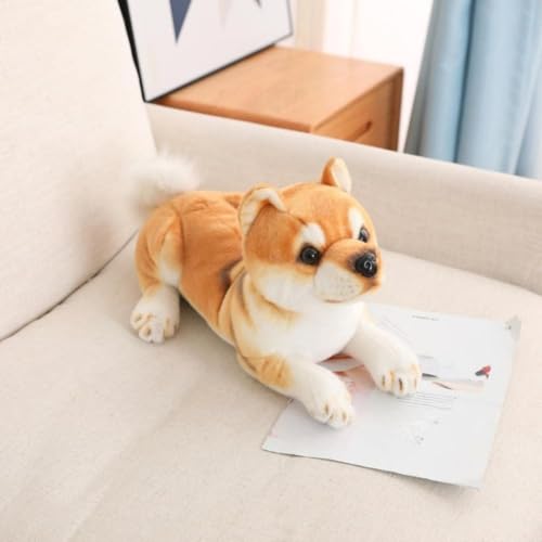 Diggly Čʂ  ӂӂNbV |[Y { xr[ELbY̐Q oYjMtg M 35×30×15cm ubN (M-35*30*15CM,CG[) [sAi]