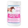 Gut™ Pellets, 2.7 lb, 60 Servings | Healthy Gut Probiotics for Horses | Equine Prebiotic & Probiotic | Horse Stomach Supplement