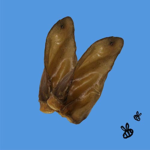 Honey I’m Home, Crunchy Ears Buffalo Dog Chews, 4 Pieces – All Natural, Free Range, Healthy, Grain Free, Honey Coated & Crispy Honey I’m Home, Crunchy Ears Buffalo Dog Chews, 4 Pieces – All Natural, Free Range, Healthy, Grain Free, Honey Coated & Crispy