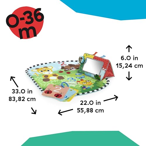Image of Baby Einstein Discovery Garden Tummy Time Mat & Mirror, Ages 0-6 Months, Multisensory