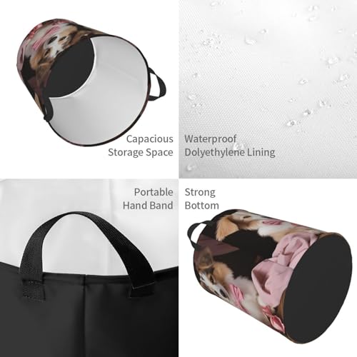 Panier à linge pliable pour chien autonome et robuste avec poignées