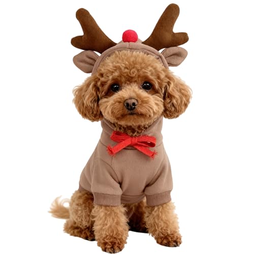 ybg NX}X p[J[ Xqt  giJC hbOEFA _炩 h g RXv RX`[ L   ϐg ʐ^ LOBe NX}X p[eB[ ybgpi t H ~ (XS)