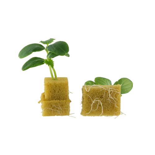 Steadygrowpro Syndicate Sales 24-Cell Seed Starter Kit #TOP5