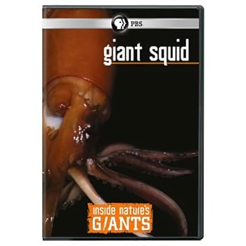 DVD Inside Nature's Giants: Giant Squid Book