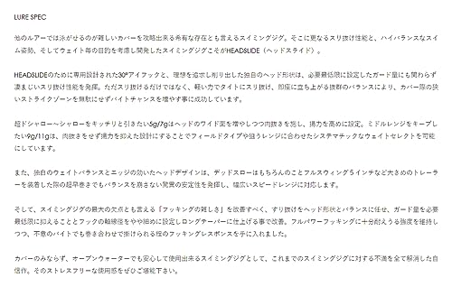 RAID JAPAN HEADSLIDE 7g チャートバックパール