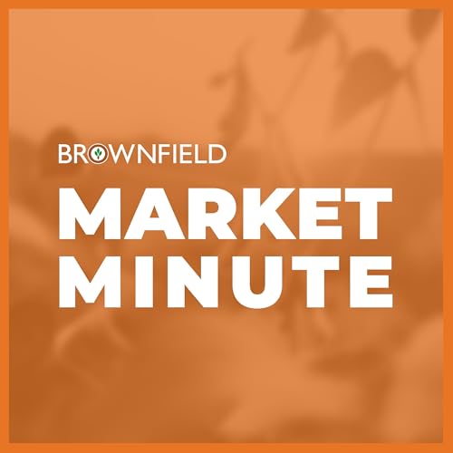 Cattle futures were limit lower Wednesday | Closing Market Minute
