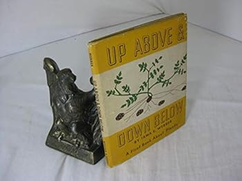 Hardcover Up Above & Down Below (A First Book About Plants) Book