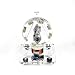 LeTkingok Bedini Motor Brushless Motor Model - Pseudo Perpetual Motion Machine Disc-Type Machine