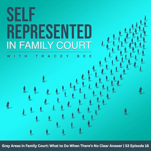Gray Areas in Family Court: What to Do When There&rsquo;s No Clear Answer | S3 Episode 16