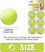 ALL FOR PAWS Automatic Ball Launcher for Dogs, Interactive Puppy Pet Balls Outdoor Thrower for Medium to Large Dogs and six 2.5-inch Tennis Balls Bundle