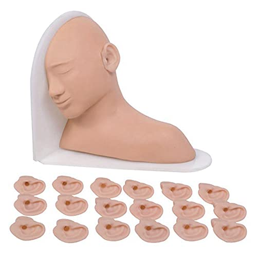 UWYTGF Teaching Model,Ear Examination Model Training Ear Lesionspection and Treatment Operation Multifunctional Model Ear Diagnosis Model for Artificial Human Ear Display Mo