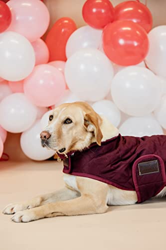 Kentucky - Hundemantel - Bordeaux - XS - 28-33cm