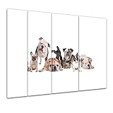 Bilderdepot24 Impression d'art - Famille de bouledogues - Image sur Toile - 180x120 cm 4 pcs - Toile Photos - Murale de Faune - Race Canine - Molossoïde - Jolie Photo de Groupe