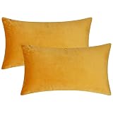 Artcest Set of 2 Cozy Velvet Decorative Rectangular Throw Pillow Cases, Soft Solid Lumbar Cushion Co
