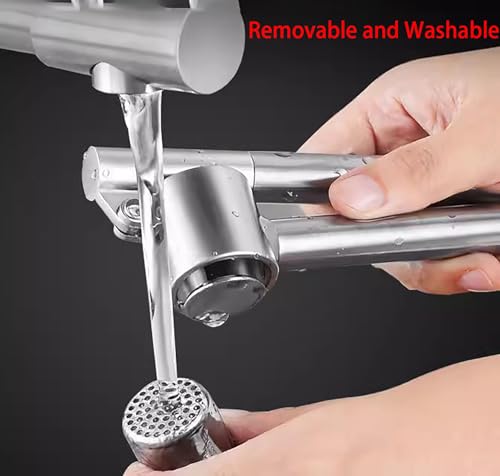Manual Garlic Press, 165 Grams 304 Stainless Steel Garlic Paste Tools for Crushing Vegetables and Spice (1)