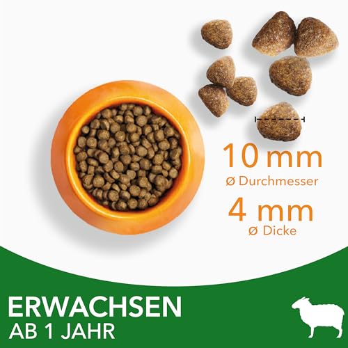 Iams Katzenfutter Trockenfutter mit Lamm für Katzen von 1-6 Jahren