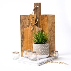 Kurrajong Farmhouse Artificial Plant | 8" Fake Plant for Desk Decor | Artificial Succulent in Pot | Fake Succulent | Faux Plant Indoor | Succulent Plant Artificial | Faux Succulent for Shelf Decor Kurrajong Farmhouse Artificial Plant 8 Fake Plant for Desk Decor Artificial Succulent in Pot Fake Succulent Faux Plant Indoor Succulent Plant Artificial Faux Succulent for Shelf Decor