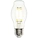 Westinghouse Lighting 0316700 5W (40W) Decorative BT15 Dimmable Warm White Filament LED Light Bulb with Medium Base