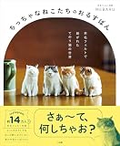 ちっちゃなねこたちのおるすばん　～羊毛フェルトで紡がれた　てのり猫の世界～ (小学館クリエイティブ)