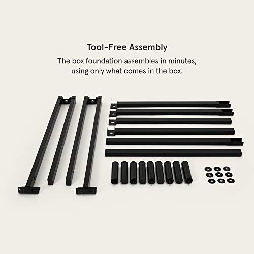 Metal Base Bed Frame for Queen Mattress by Tuft & Needle Simple ToolLess Assembly Powder