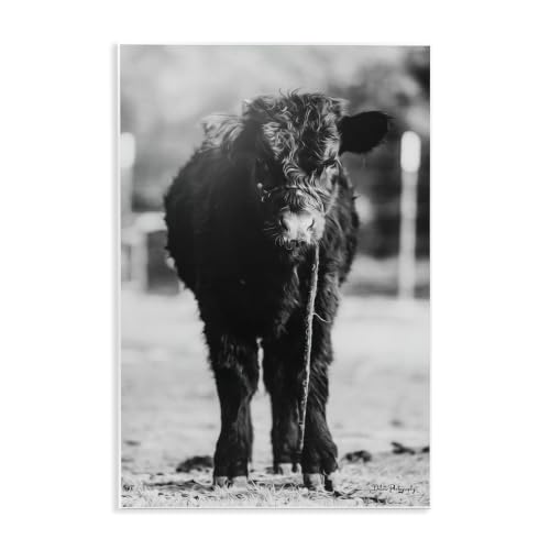 Baby Cattle Calf Rural Farm, 10 x 15 Inch Mounted Print on Wall Plaque