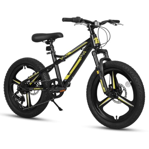 StarterRide 20 Inch Kids Disc Brake Bike